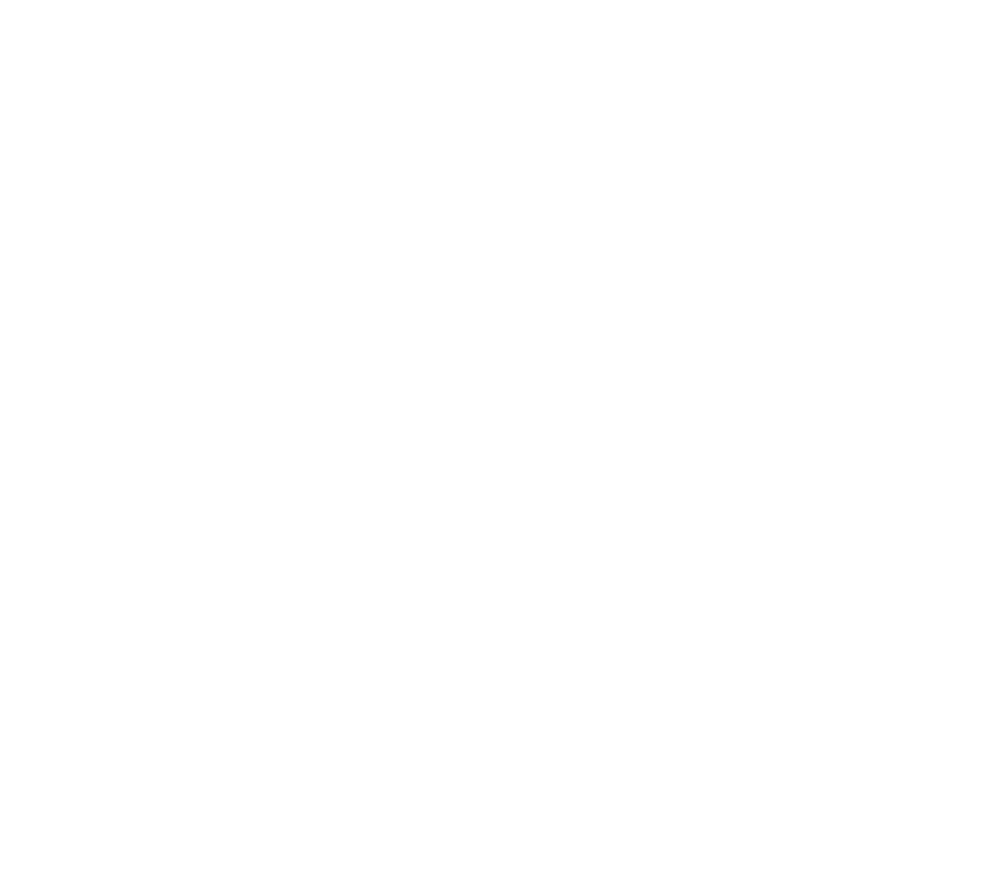 pki-training-logo-ko